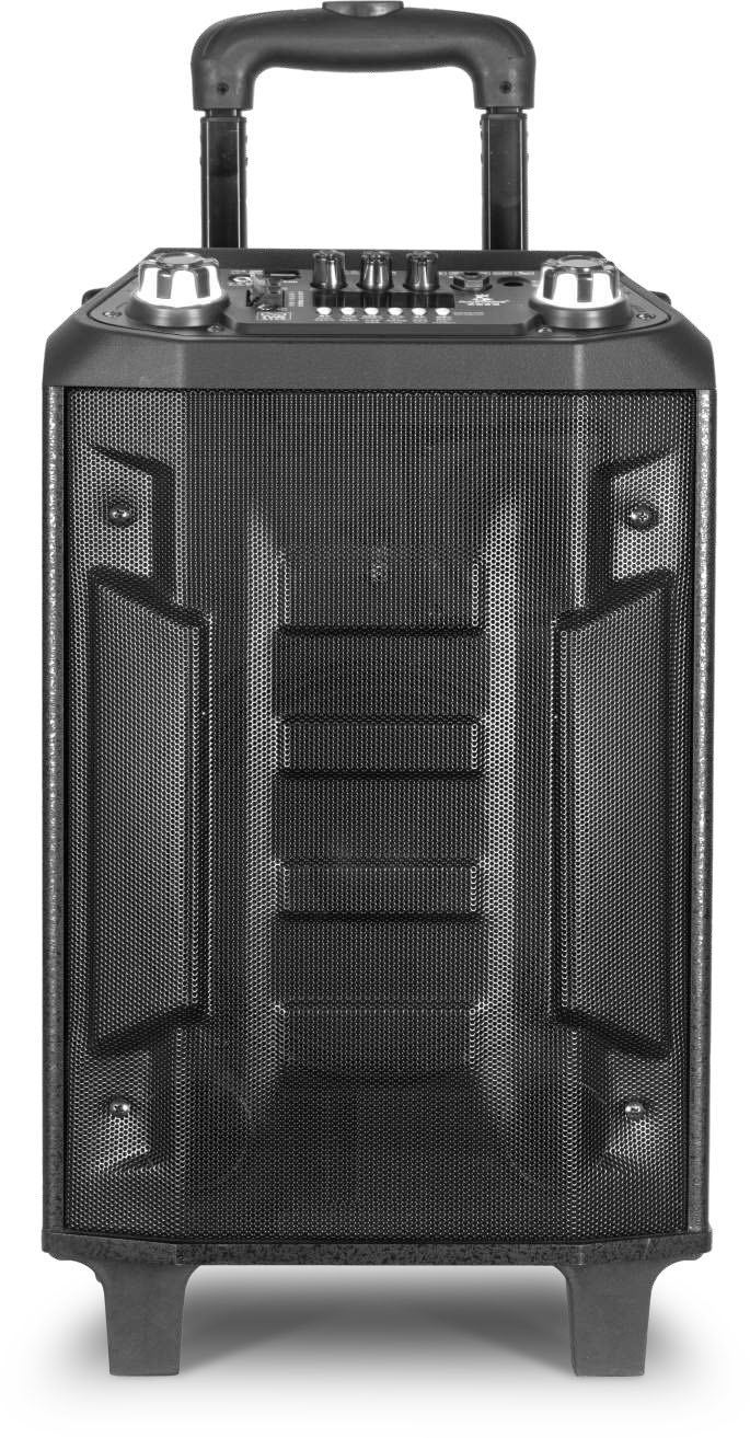 P20